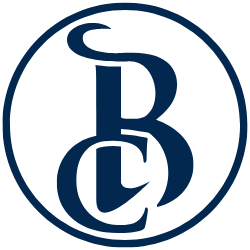 Beunec Consulting LLC